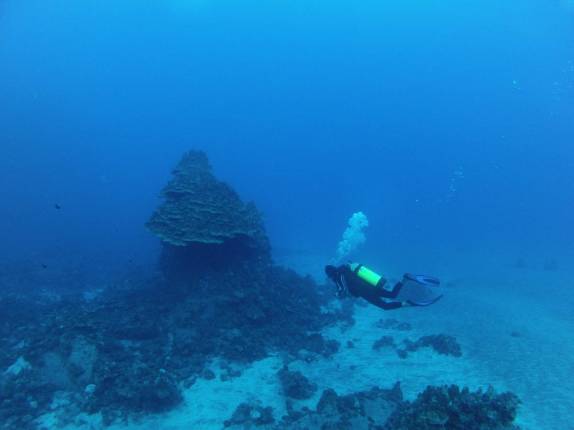 Mergulhando nas águas claríssimas da Ilha de Páscoa, em pleno Oceano Pacífico